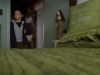 Pictures_of_Hollis_Woods__DVD_Screencaps_BJ_01156.jpg