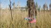 Filename=Getting_Giiliam_00072.jpg
Filesize=65KiB
Dimensions=853x480
Date added=Nov 11, 2007 Getting_Giiliam_00072.jpg