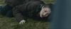 Filename=Twlilight-Eclipse-dvd-screencaps_036.jpg
Filesize=86KiB
Dimensions=1920x814
Date added=Jan 11, 2011 Twlilight-Eclipse-dvd-screencaps_036.jpg